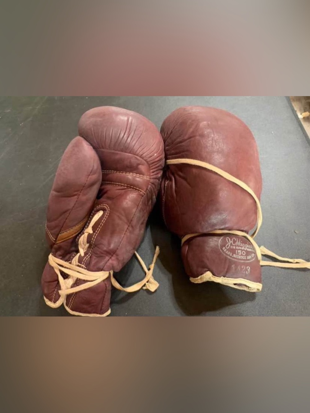 Vintage JC Higgins Model 150 Boxing
Gloves Sears Roebuck